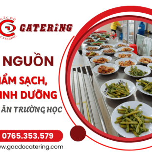 Gấc Đỏ chọn lọc nhà cung cấp thực phẩm sạch uy tín cho trường học